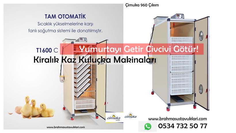Kiralık Kuluçka Makinaları